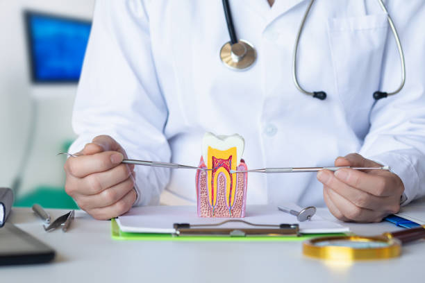 Best Root Canal Emergency Dentist  in North Bend, NE